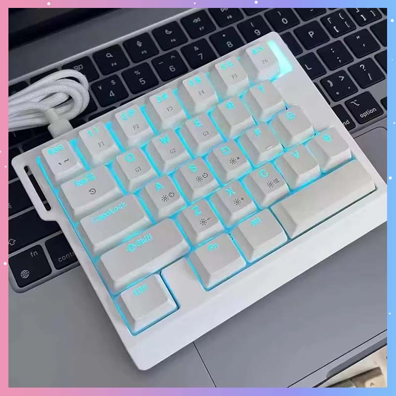 Esports In Gaming - HE30 メカニカルゲーミングキーボード 29キー 磁気スイッチ 8000HZ対応 マクロプログラミング